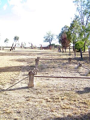 Swan Creek cemetery, 2007