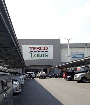 TescoLotus