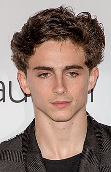 Timothée Chalamet in 2018 (cropped)