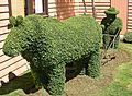 Topiary in Railton