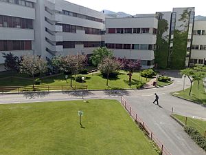 Unisa - Vista da Ingegneria.jpg