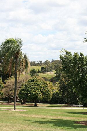 Victoria Park (2008).jpg