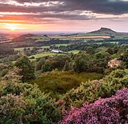 Yorkshire-Inland