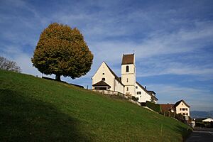 Bollingen IMG 2156