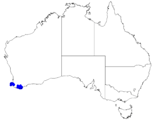 Boronia heterophylla DistMap57.png