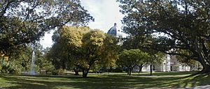 Carlton gardens