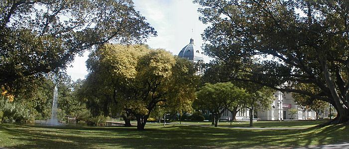 Carlton gardens