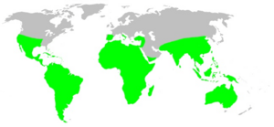 Distribution.theraphosidae.1.png