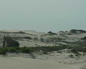 DunesPeaIslandJune2007.JPG