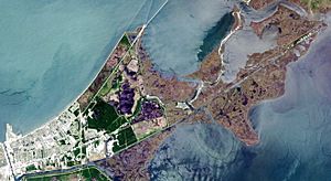 EasternNewOrleansLandsat