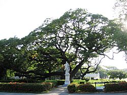 EstatuaSimonBolivarQuinta