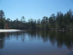 FL Blackwater River SP02