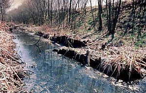 Fletchers Canal ruined boat