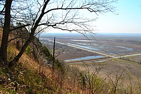 Fults Hill Prairie Nature Preserve-18apr14-027.jpg