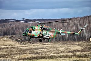 Interpolitex 2013 (533-5).jpg