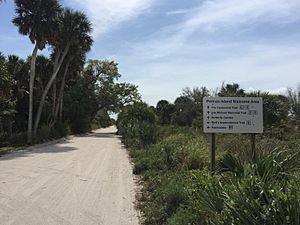 Jungle Trail in the Pelican Island National Wildlife Refuge P001