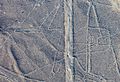 Líneas de Nazca, Nazca, Perú, 2015-07-29, DD 39