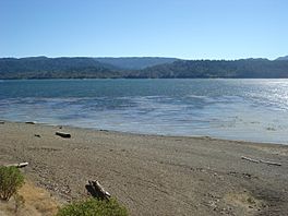 Lake Pillsbury.JPG