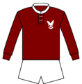 Manly-Warringah Jersey 1965