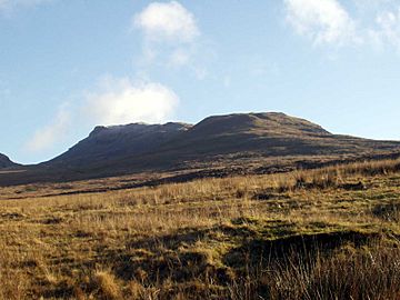 Moelwyn Bach.jpg