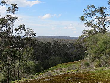 Mokare's Rock 1 Rock Walktrail Shannon NP IX-2015.jpg