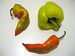 Paprika.fruits.three.j.jpg