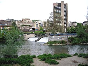 Platzspitz Sihl Limmat