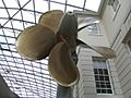 Propeller, National Maritime Museum