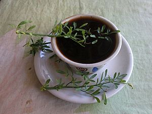 Ruta in Coffee in Ethiopia