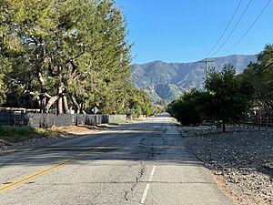 Sand Canyon Road