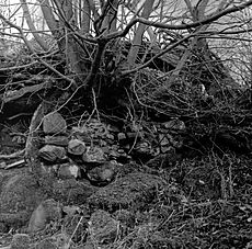 The Old Ice House in 1979