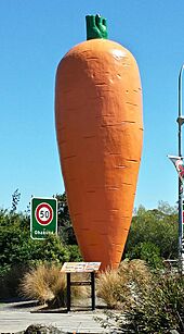 The famous Ohakune carrot