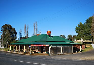 Wombat Hotel 2011.JPG