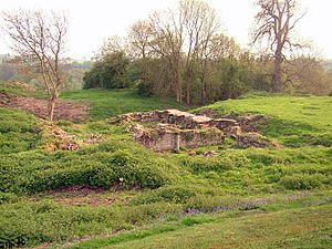 Baginton Castle (antient building)