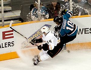 Bobby Ryan and Christian Ehrhoff