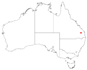 Boronia beeronensisDistMap13.png