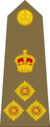British Army (1920-1953) OF-6.svg