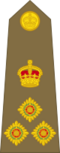 British Army (1920-1953) OF-6.svg