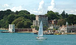 BrownSeaIsland