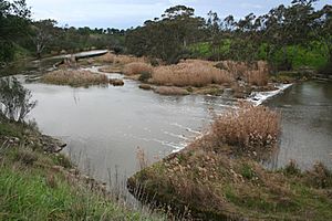 Buckleys-falls-geelong