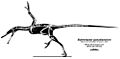 Buitreraptor gonzalezorum