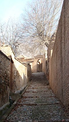 Camino medieval del Generalife, tramo de abajo