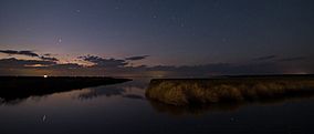 Cedar island nwr.jpg