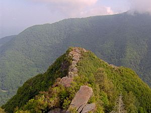 Chimney-tops-lowpeak1