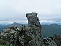 Cobbler summit