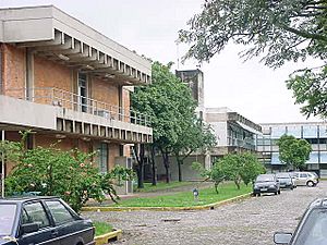 College of Veterinary Medicine of Universidade Federal de Minas Gerais