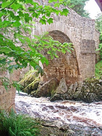 Feugh Cascades flowing under the Bridge of Feugh - geograph.org.uk - 534581.jpg