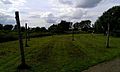 Flag Fen wooden posts