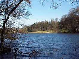 Fonthill Lake 1.jpg