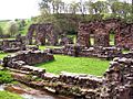 Furness Abbey 09